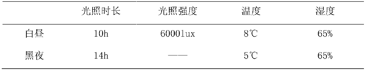 Rapid allium fistulosum bolting evaluation and classification method