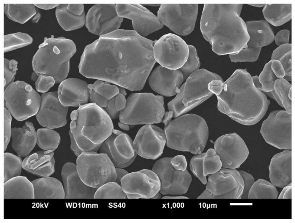 Lithium cobalt oxide positive electrode material and preparation method thereof