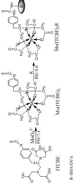 Enzyme-linked immunoassay kit for detecting hexavalent molybdenum ions and its composition and detection method