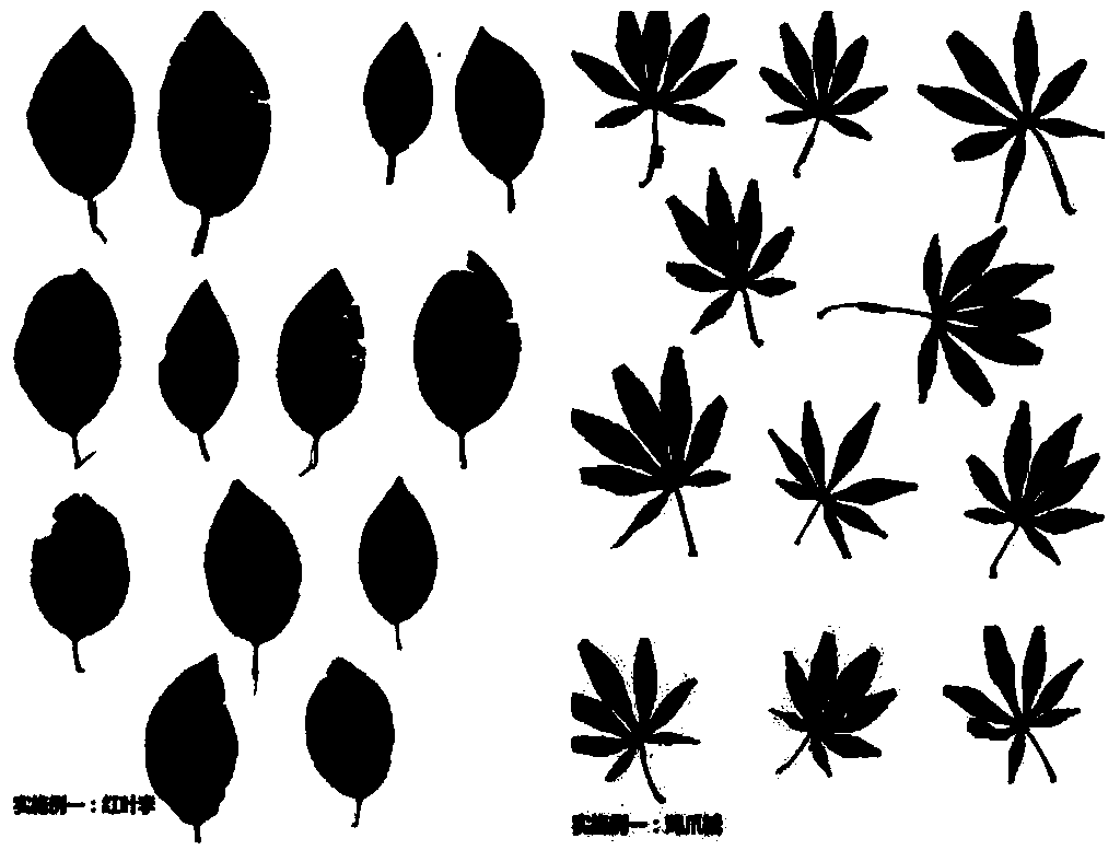 Color retention liquid and method of retaining color of red leaves