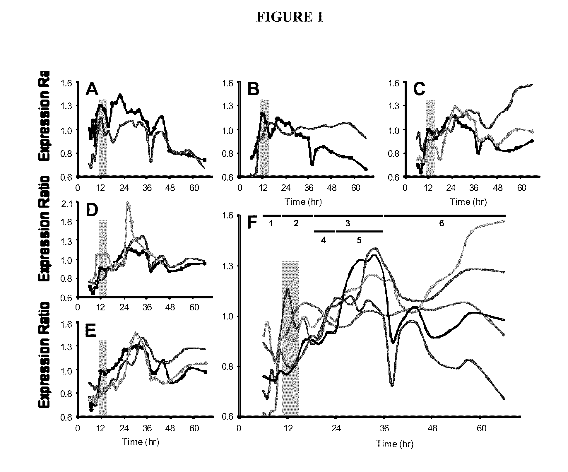 Methods and compositions for generating sporulation deficient bacteria