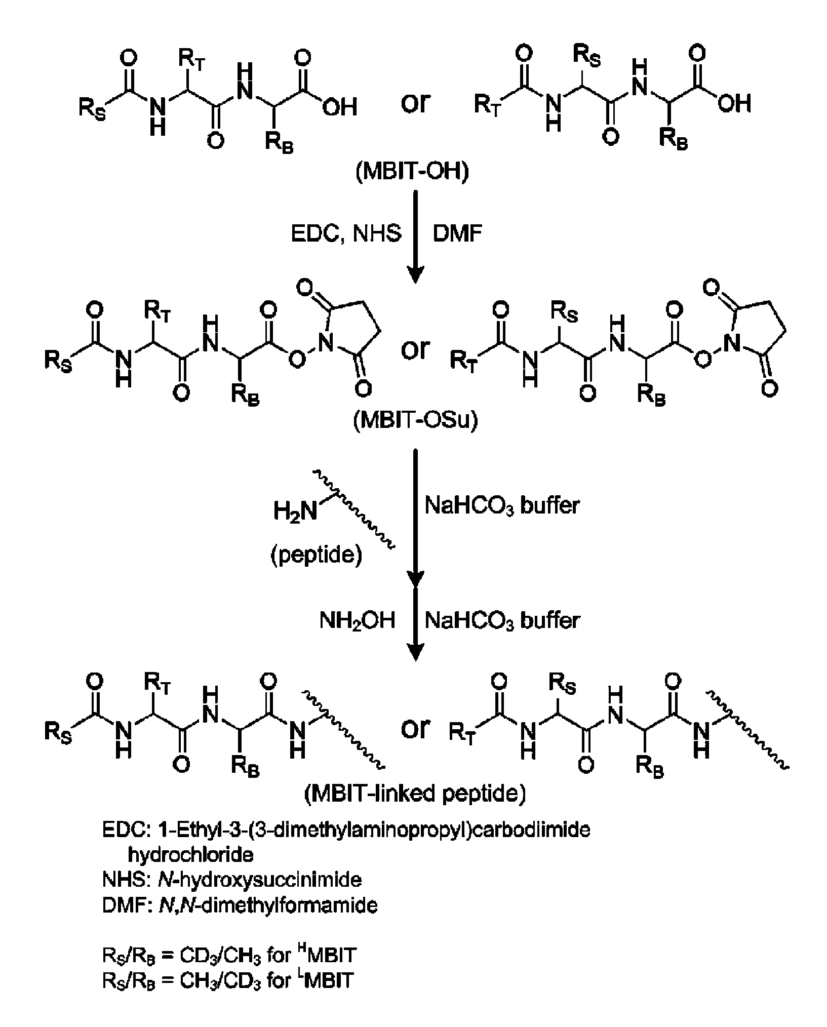 Mass- and property-tuned variable mass labeling reagents and analytical methods for simultaneous peptide sequencing and multiplexed protein quantification using thereof