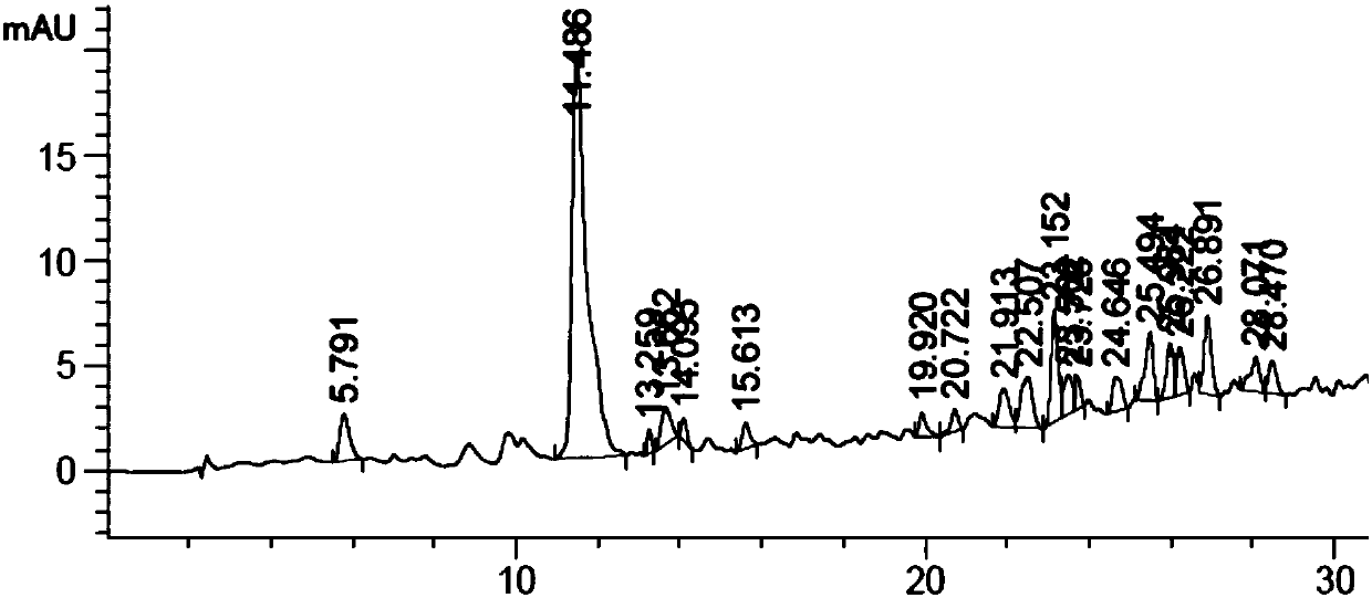 Pearl-derived functional peptide and use thereof