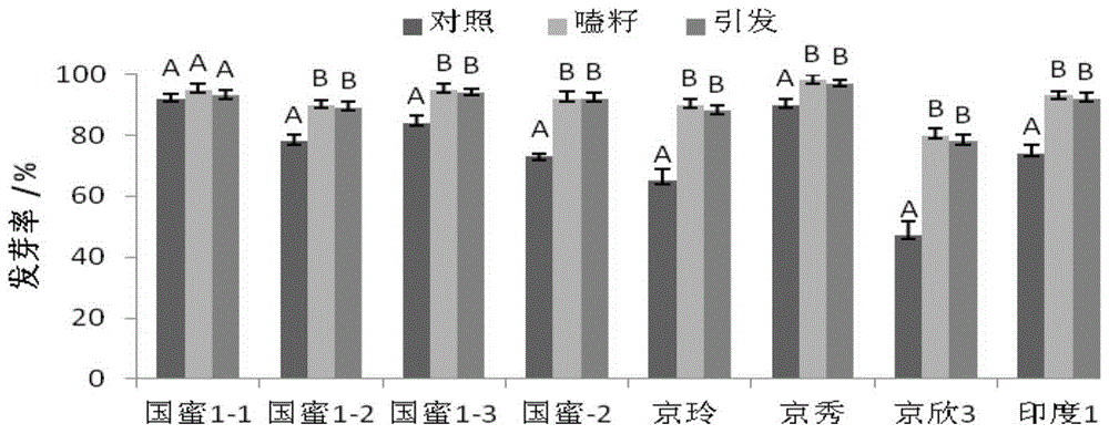 A watermelon seed disinfection technology and its application to control the occurrence of bacterial fruit spot