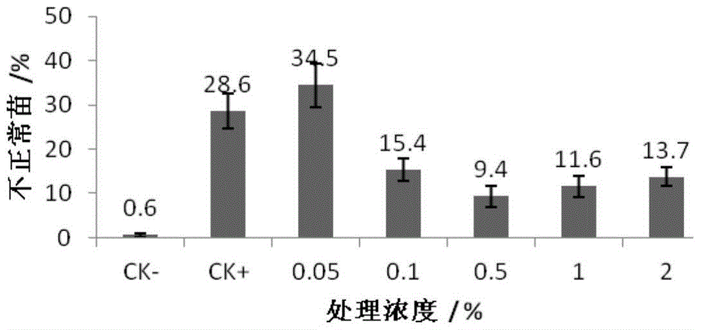 A watermelon seed disinfection technology and its application to control the occurrence of bacterial fruit spot