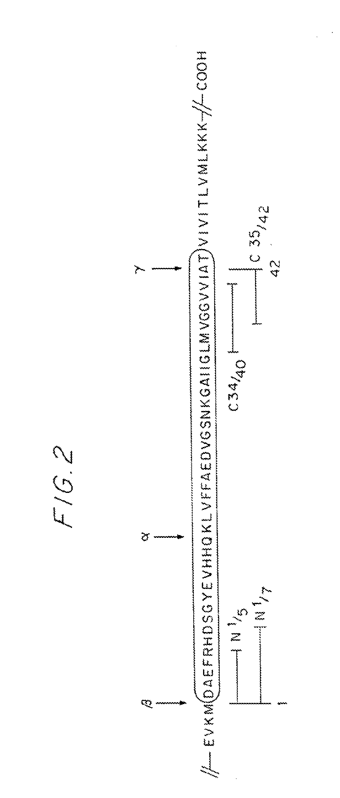 Recombinant antibodies specific for beta-amyloid ends, DNA encoding and methods of use thereof