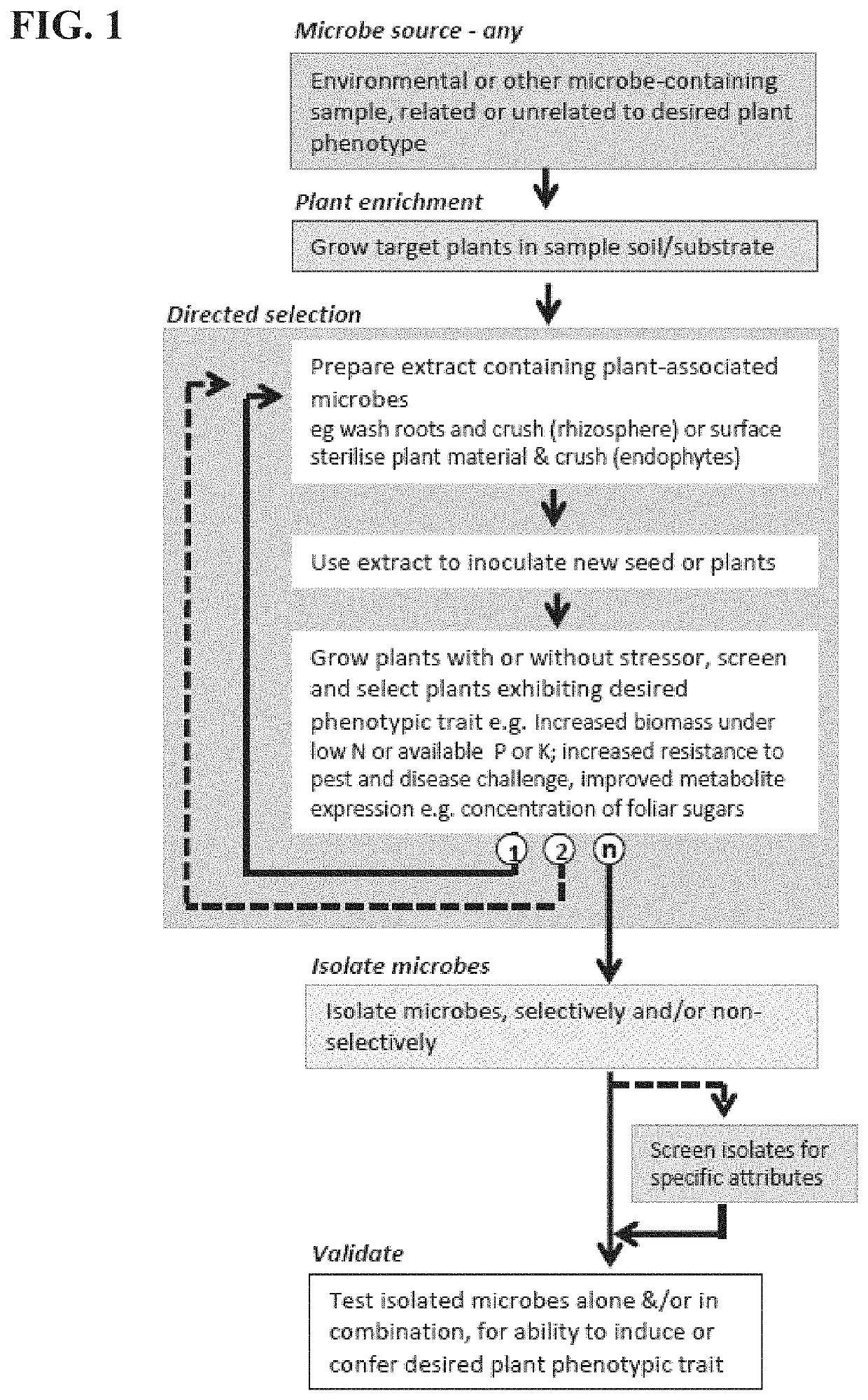 Integrated plant breeding methods for complementary pairings of plants and microbial consortia