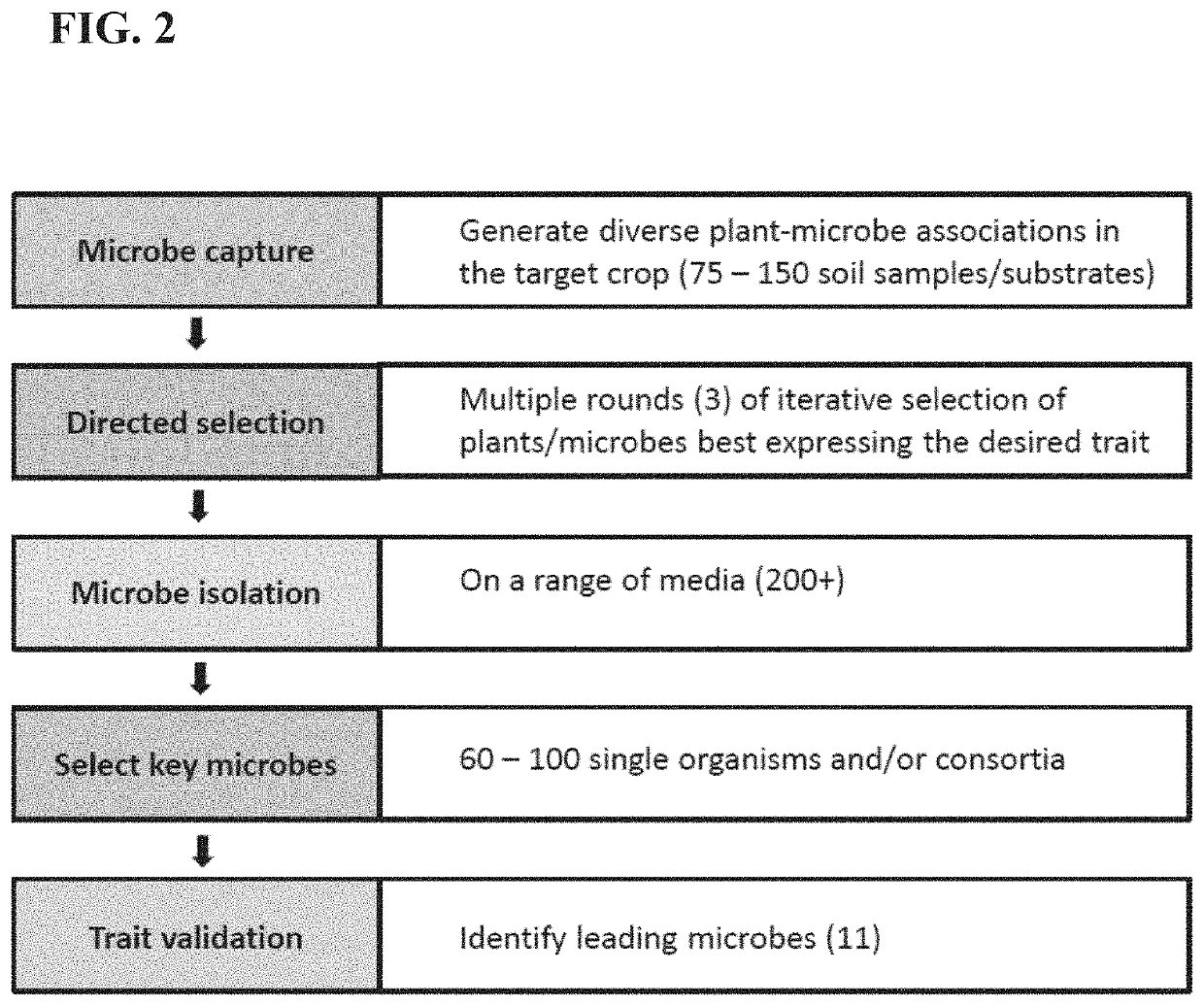 Integrated plant breeding methods for complementary pairings of plants and microbial consortia