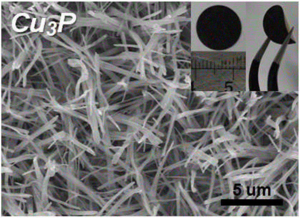 Preparation method of Cu3P nanowire negative electrode, Cu3P nanowire negative electrode prepared by method and application of Cu3P nanowire negative electrode