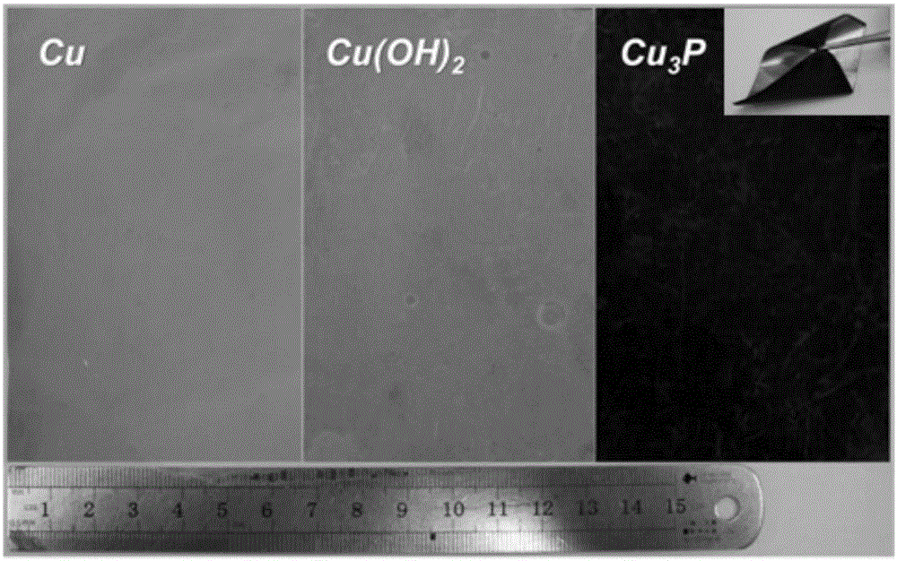 Preparation method of Cu3P nanowire negative electrode, Cu3P nanowire negative electrode prepared by method and application of Cu3P nanowire negative electrode