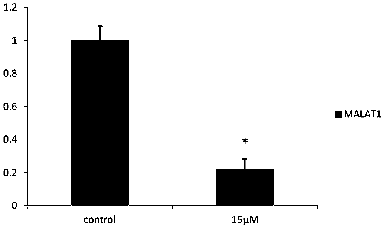 Application of Calycosin Derivatives in Preparation of Drugs for Treating ER-Negative Breast Cancer