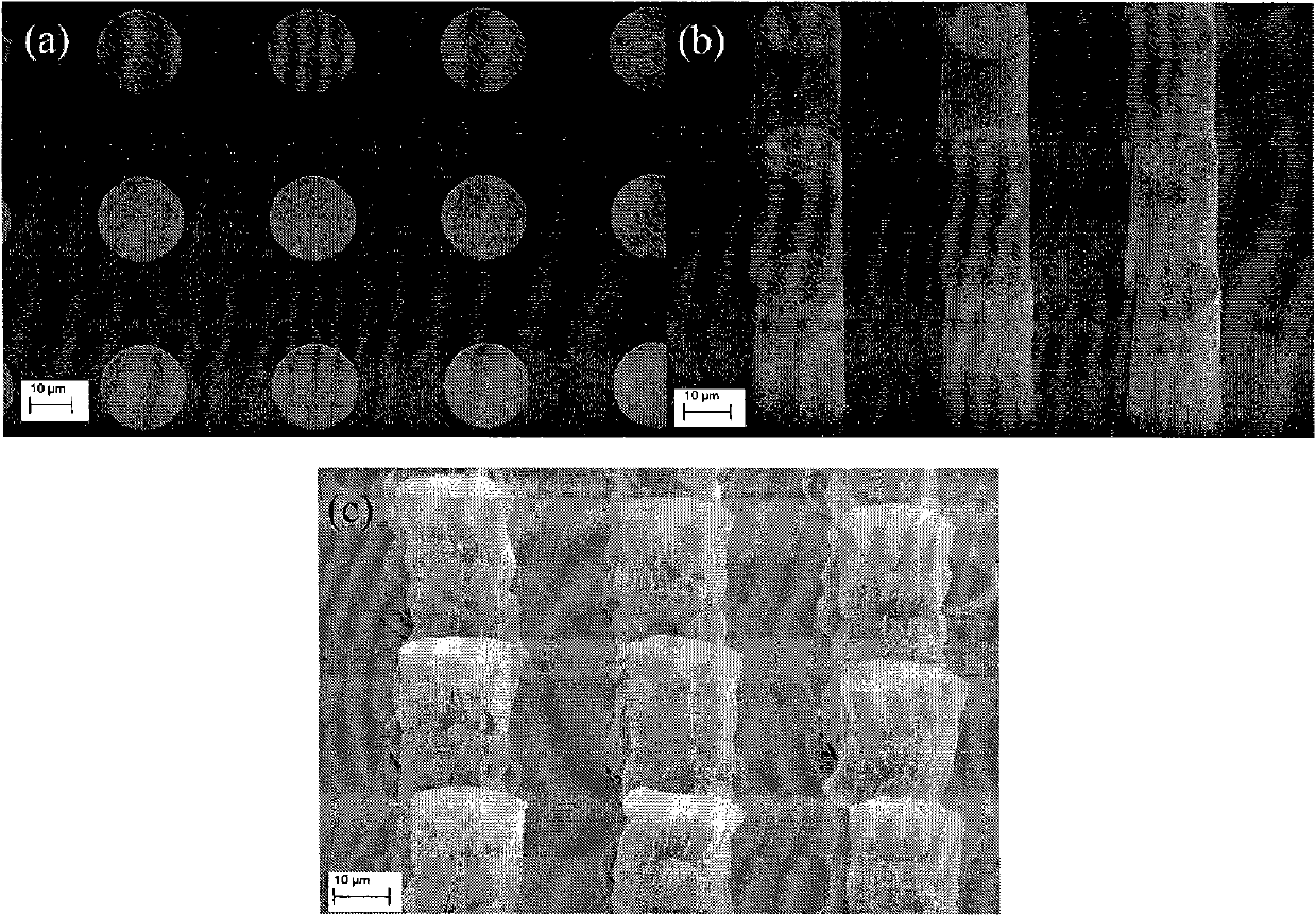 Low-temperature transfer printing method used for microelectronically packaged carbon nanotube bumps