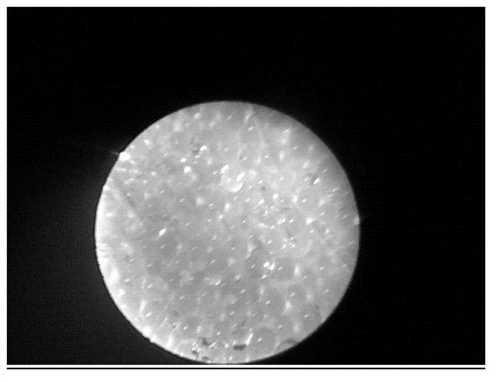 Microbead-like dry granules, as well as preparation method and application thereof