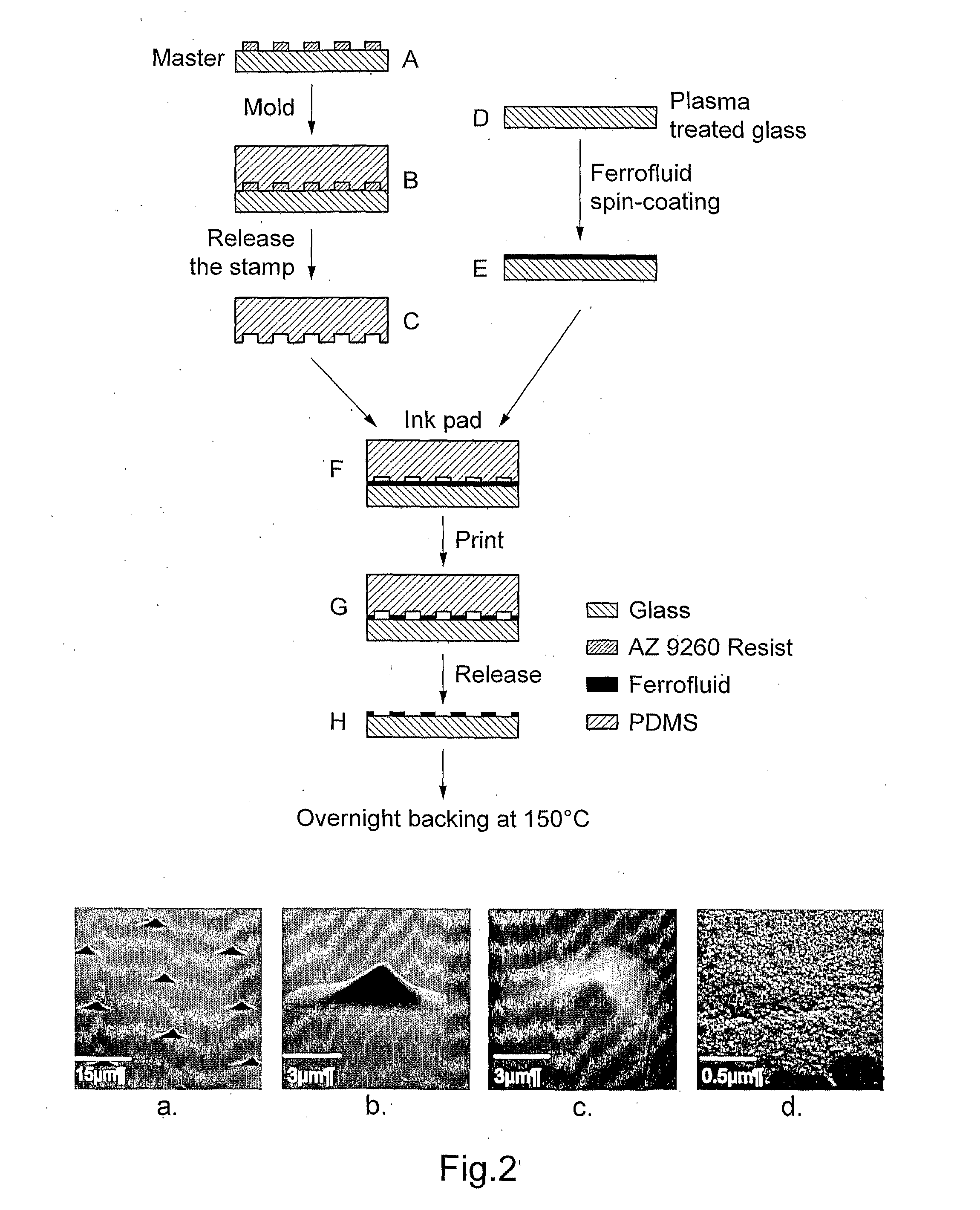 Cell sorting device