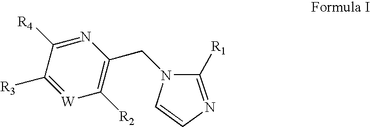 Substituted imidazolylmethyl pyridine and pyrazine derivatives GABA<sub>A </sub>receptor ligands