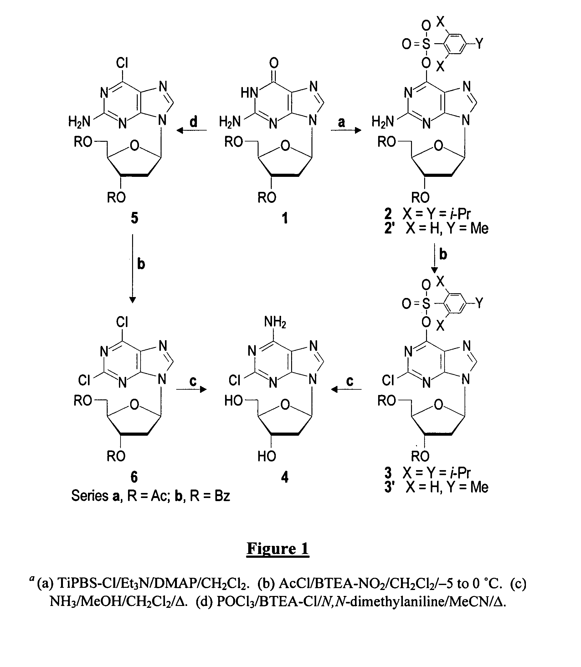 Method for the preparation of 2-halo-2'-deoxyadenosine compounds for 2'-deoxyguanosine