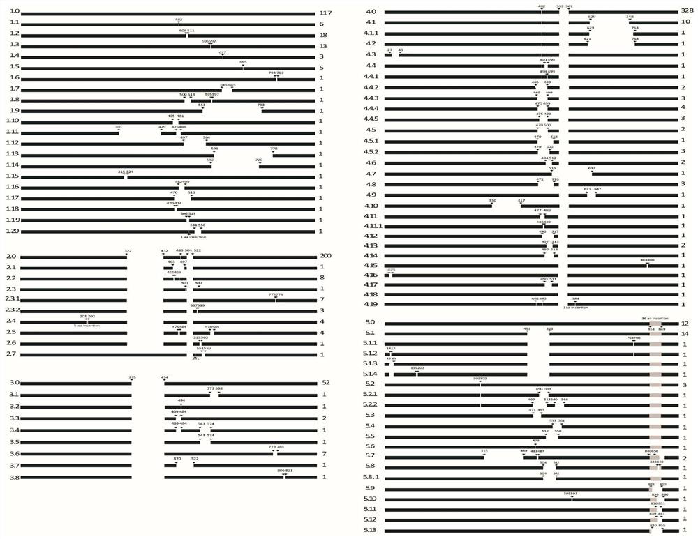 Antigen polypeptides of porcine reproductive and respiratory syndrome virus and application of antigen polypeptides