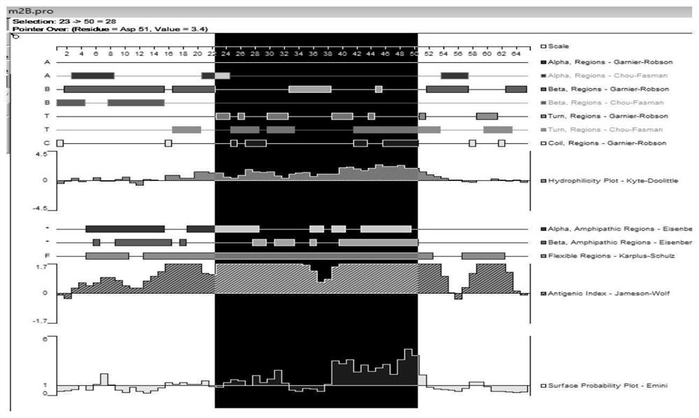 Antigen polypeptides of porcine reproductive and respiratory syndrome virus and application of antigen polypeptides