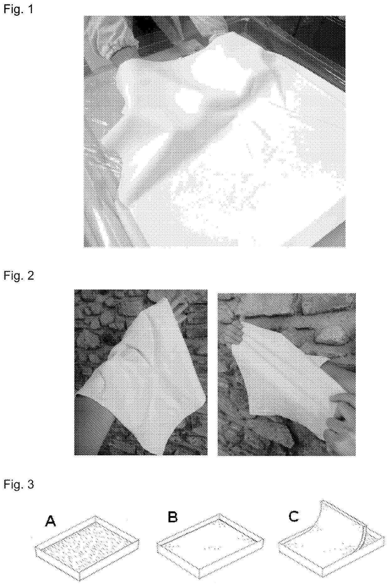 Method of producing fungal mats and materials made therefrom