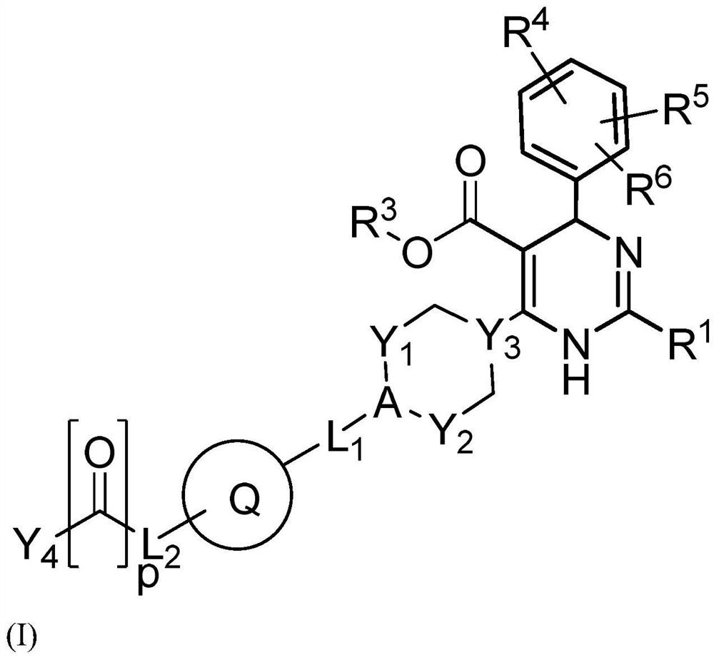 Dihydropyrimidine derivatives and uses thereof in the treatment of hbv infection or of hbv-induced diseases