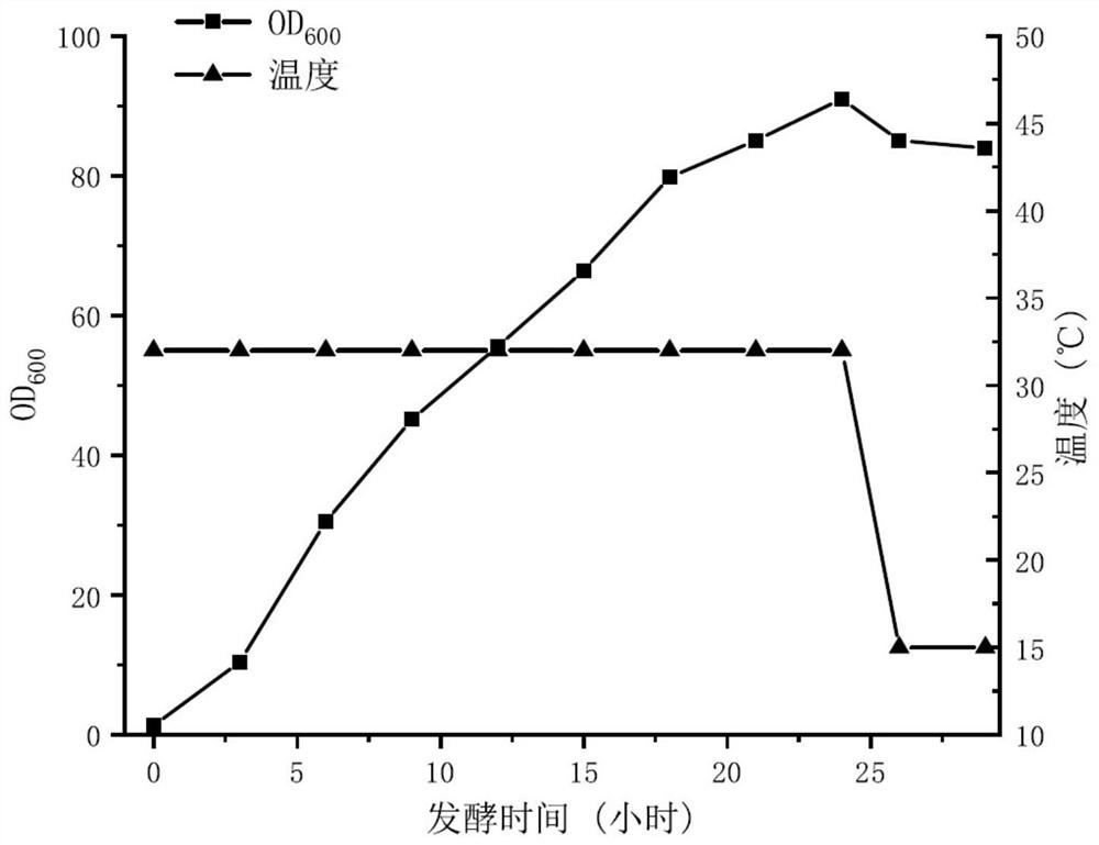 Method for producing ice nuclei protein by recombinant escherichia coli fermentation