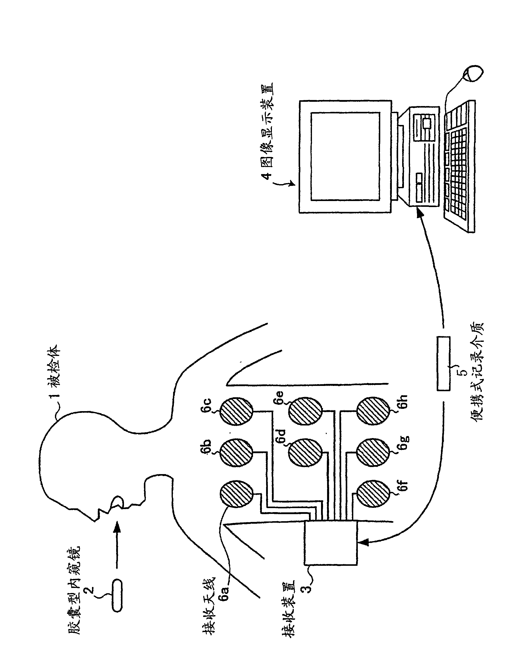 Image display device, image display method and image display program