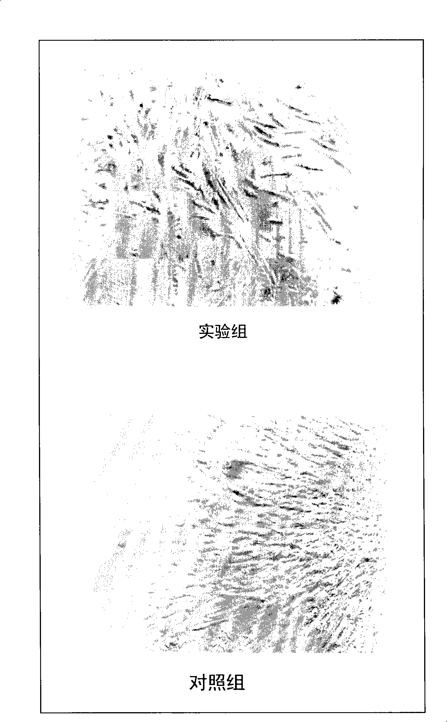 Medicine for treating nerves damage and preparation method thereof