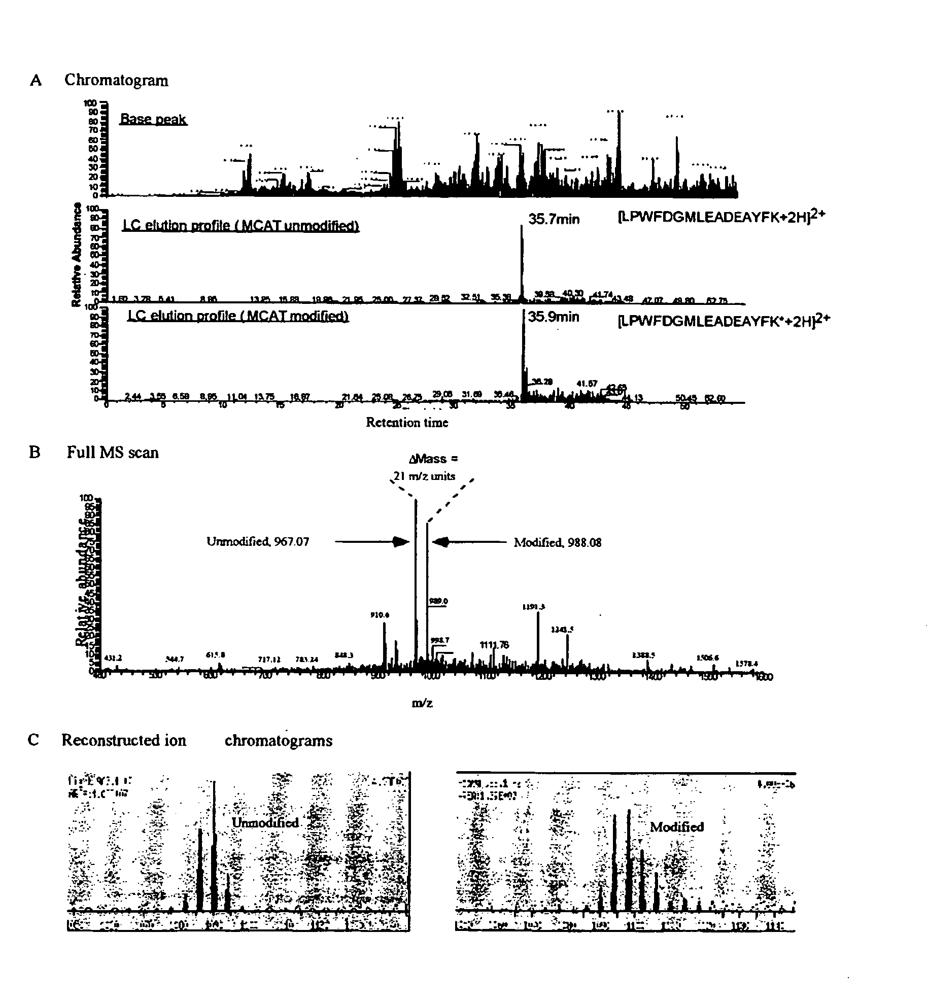 Protein expression profile database