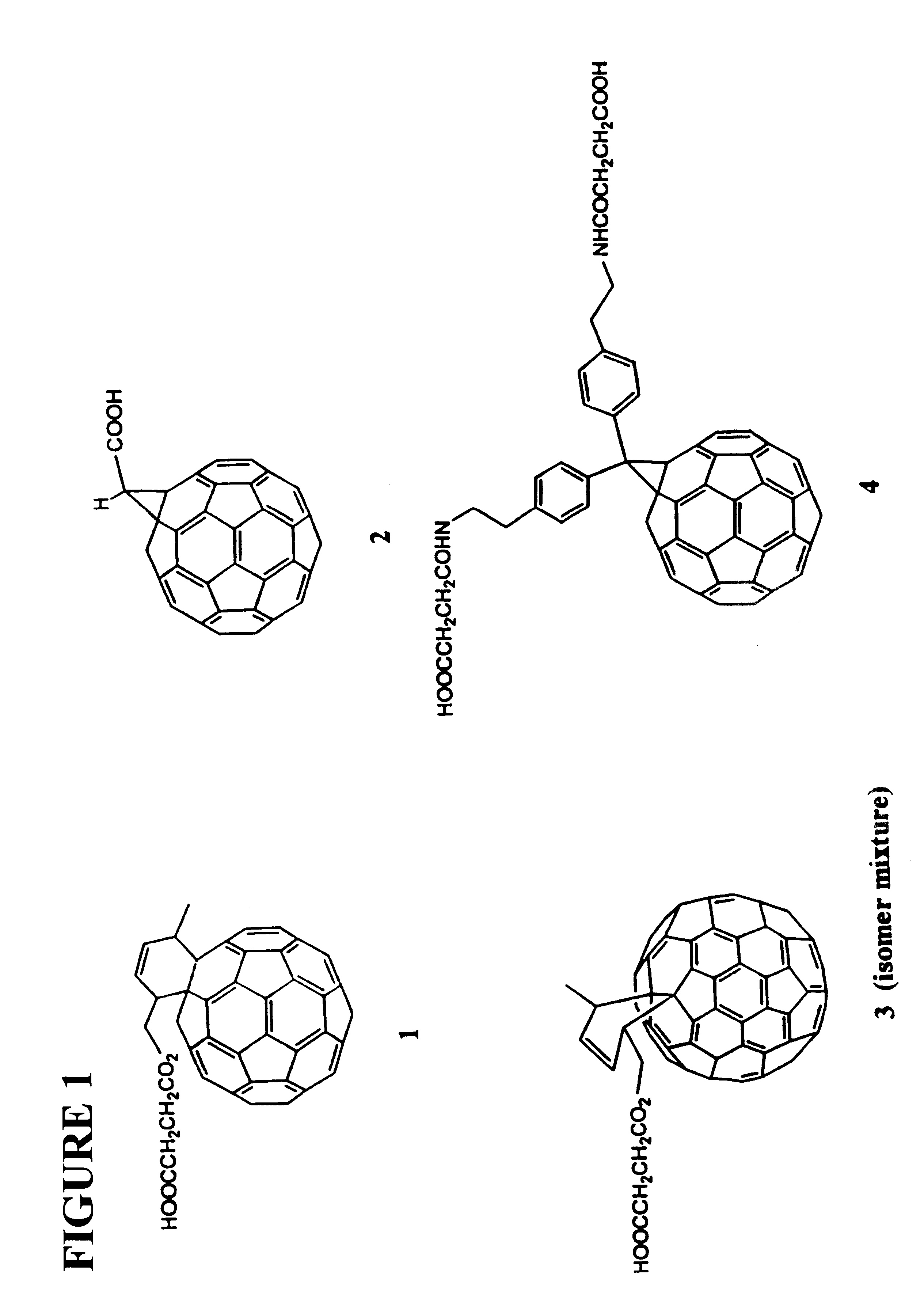 Antibodies specific for fullerenes