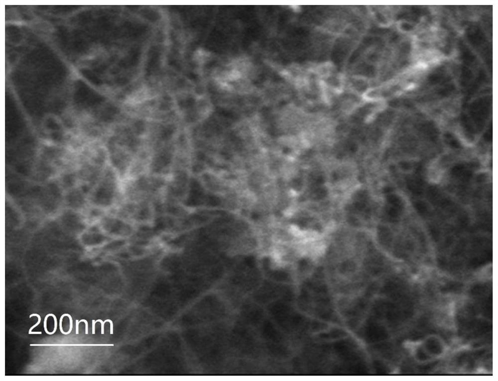 Preparation method of composite nano carbon material and composite nano material