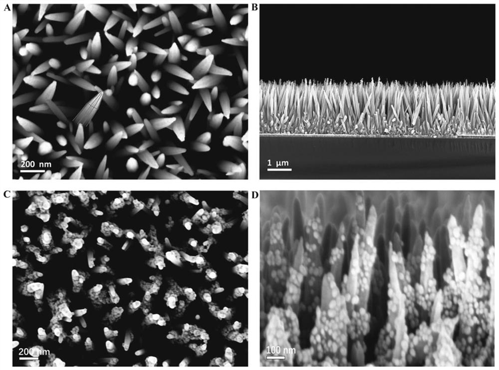 A kind of reusable Raman enhanced substrate and its preparation method and application