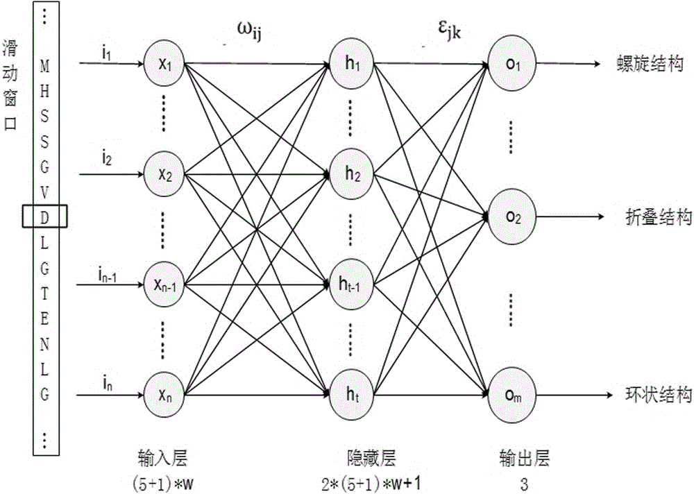 BP neural network based protein secondary structure prediction method
