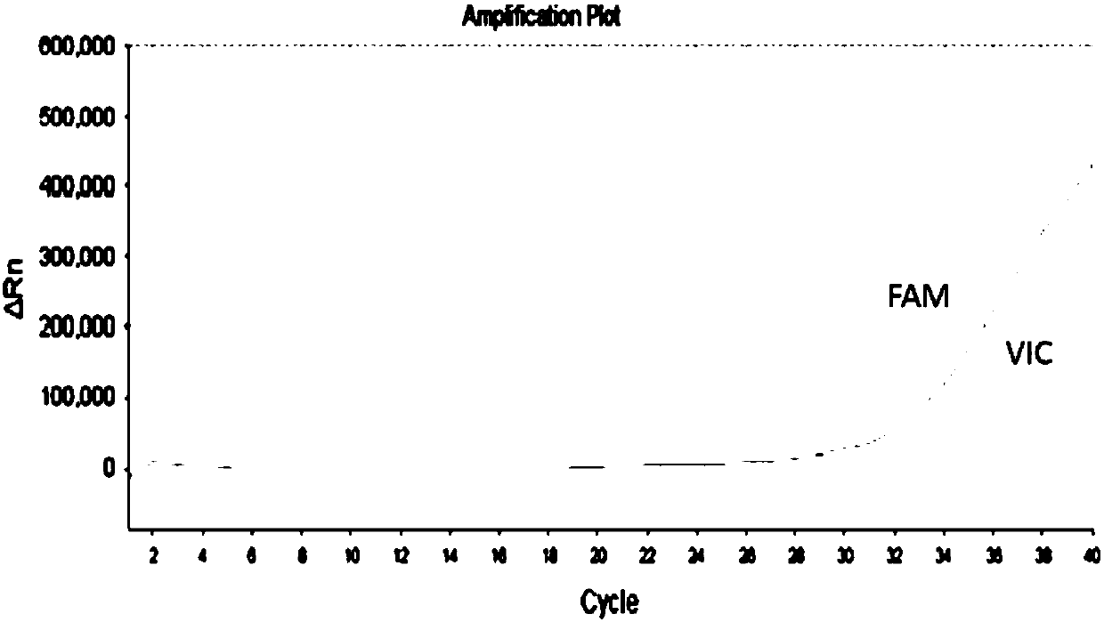 Nucleic acid composition for CYP2C19 gene typing detection as well as detection kit and application