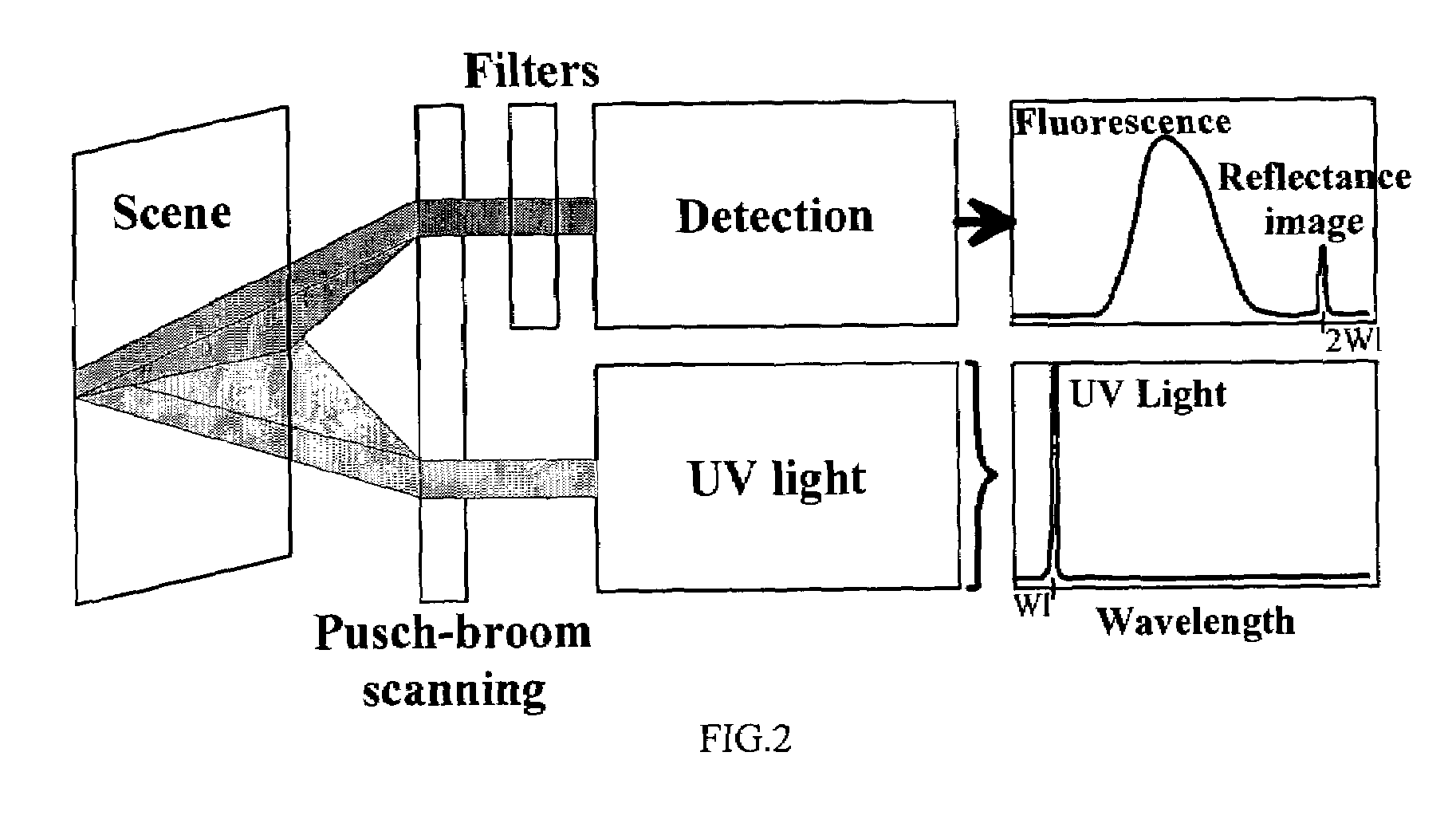 Systems and methods for registering reflectance and fluorescence hyperspectral imagery