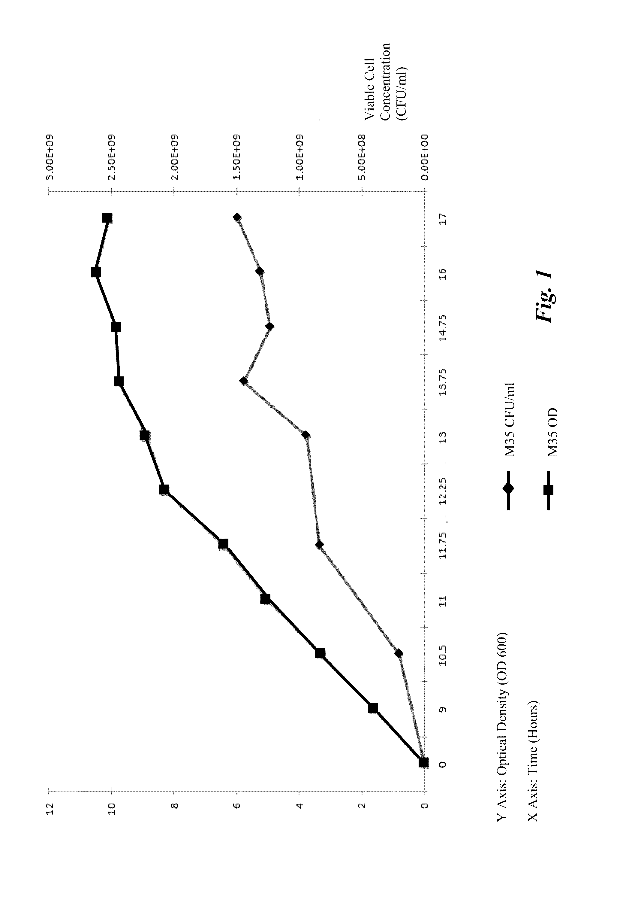 Process and composition for the manufacture of a microbial-based product