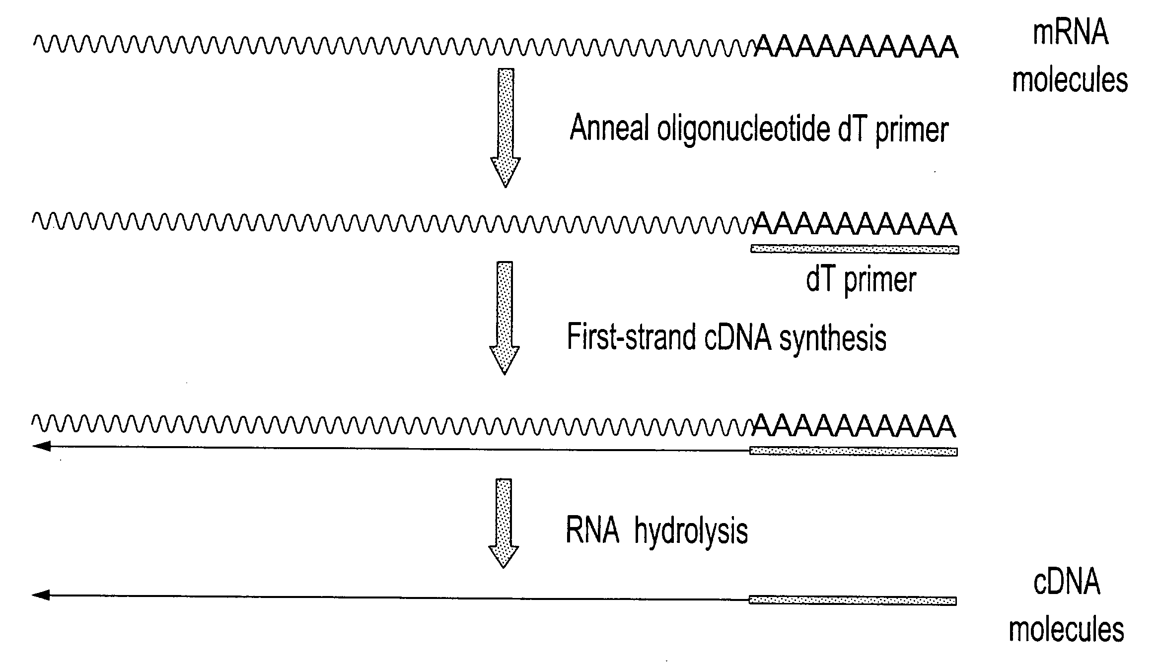 Selective terminal tagging of nucleic acids