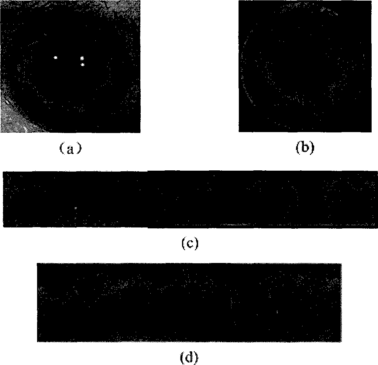 Iris image database synthesis method based on block texture sampling