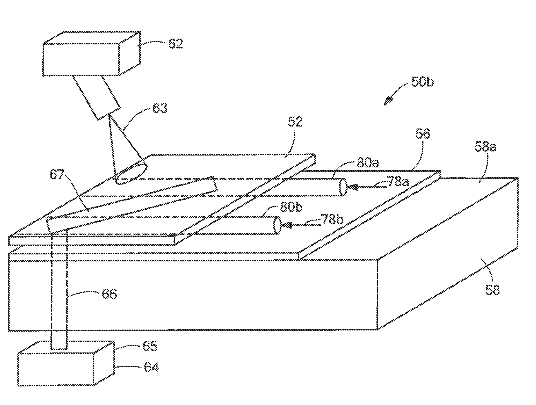 Method and Apparatus for Removing Biofouling From a Protected Surface in a Liquid Environment