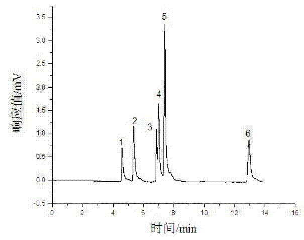 Silica gel monolithic column modified by cyclodextrin modified nanocrystalline iron oxide