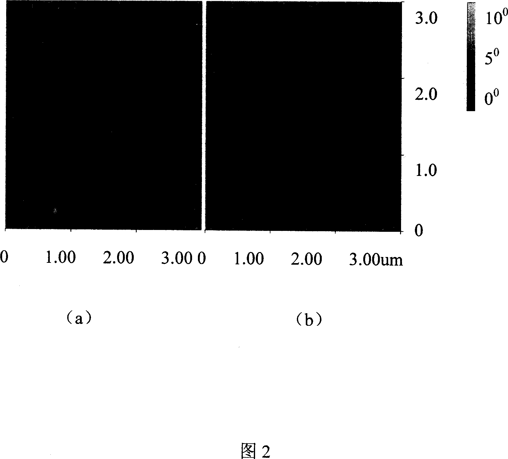 Biodegradable magnetic nanoparticle, preparation method and application thereof