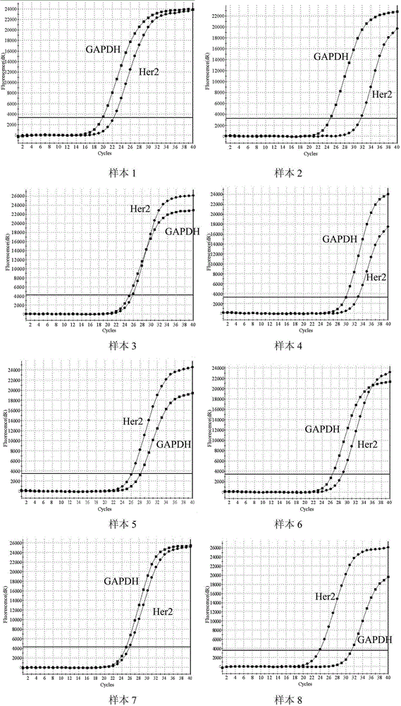 Detection primer combination and kit for HER2 (human epidermal growth factor receptor 2) gene amplification