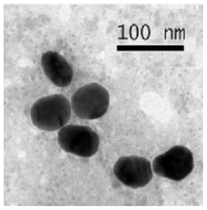 A method for detecting nitrite based on silver-coated gold nanoparticles