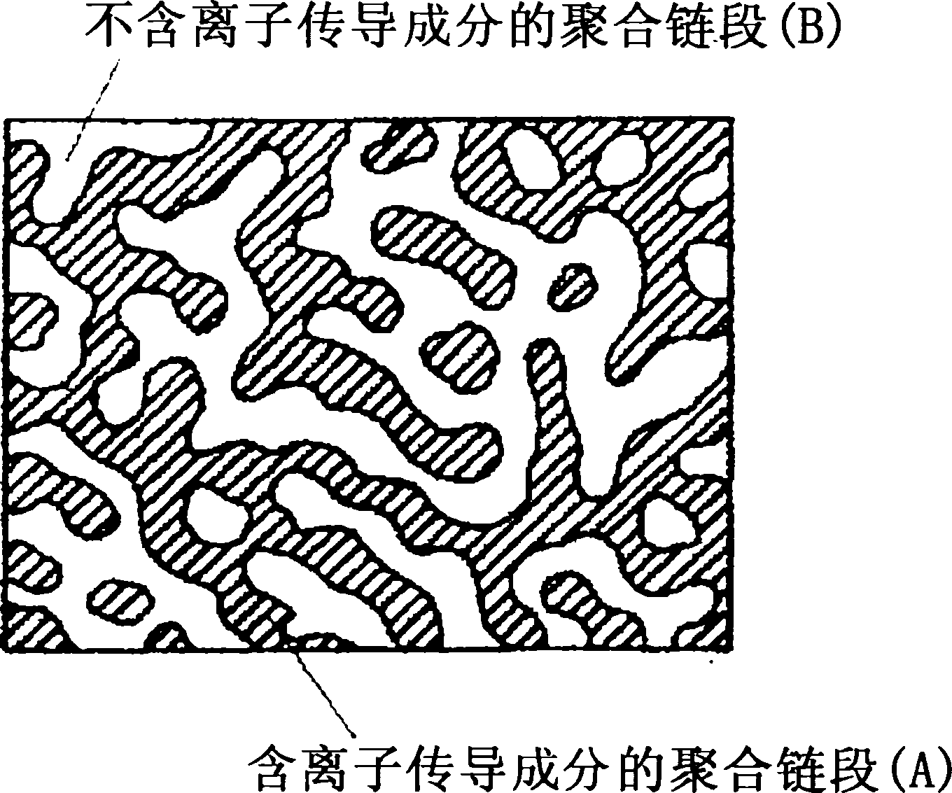 Proton conductive membrane and its producing process