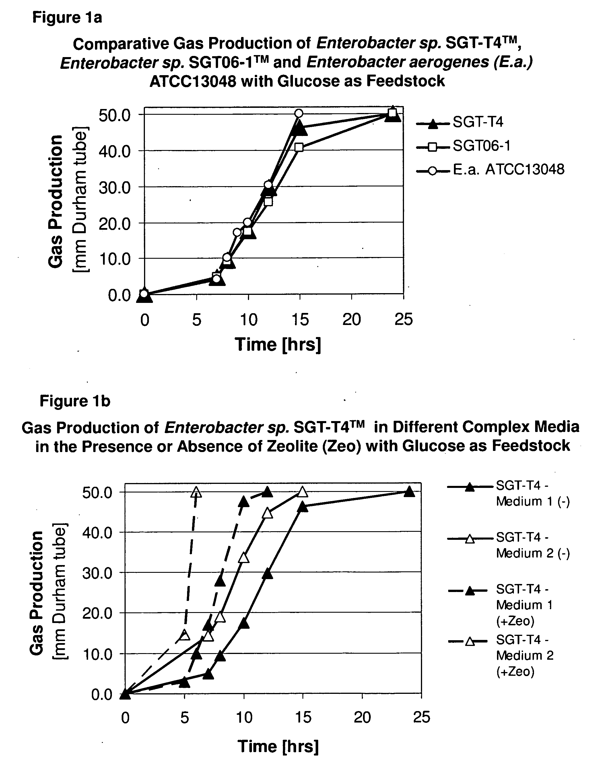 Microorganisms and methods for increased hydrogen production using diverse carbonaceous feedstock and highly absorptive materials