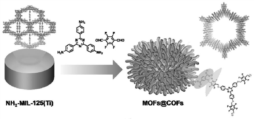 Sea urchin-shaped MOFs@COFs core-shell structure material as well as preparation method and application thereof