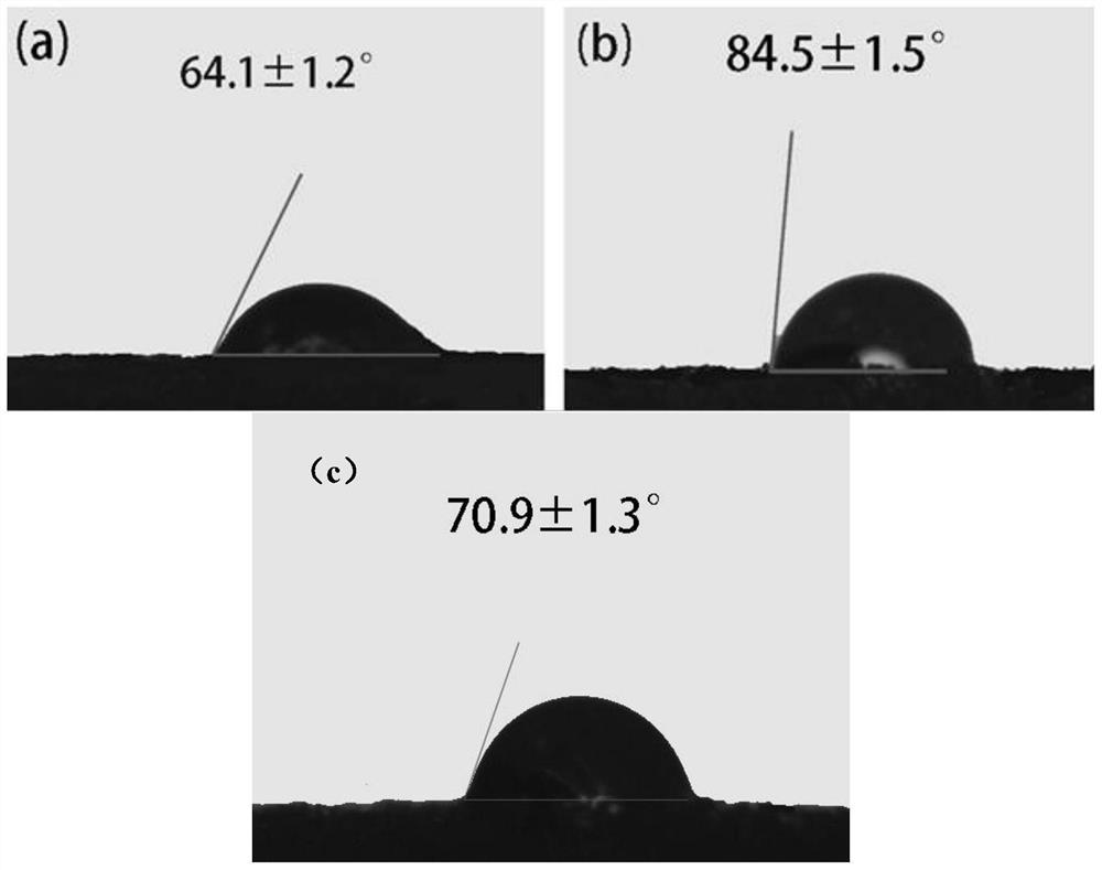 Hydrophobic sponge loaded with carbon nanotubes, preparation method and application of hydrophobic sponge in oil-water separation