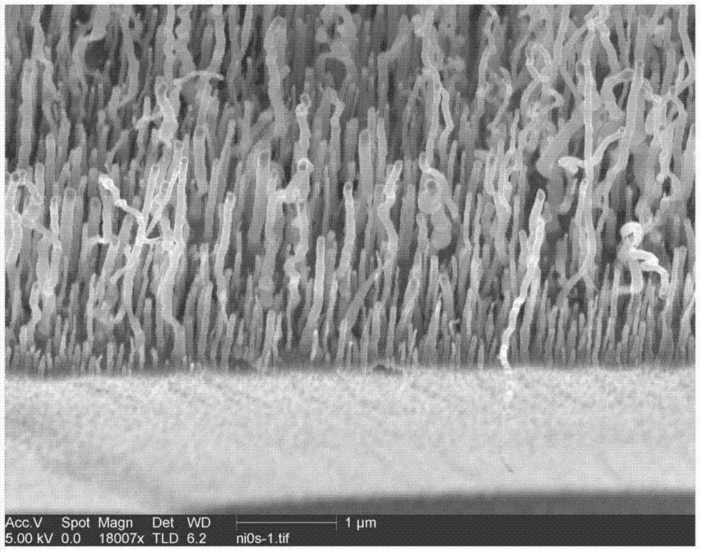 Production of low-density carbon nanotube array composite electrode and application of same and in glucose sensor