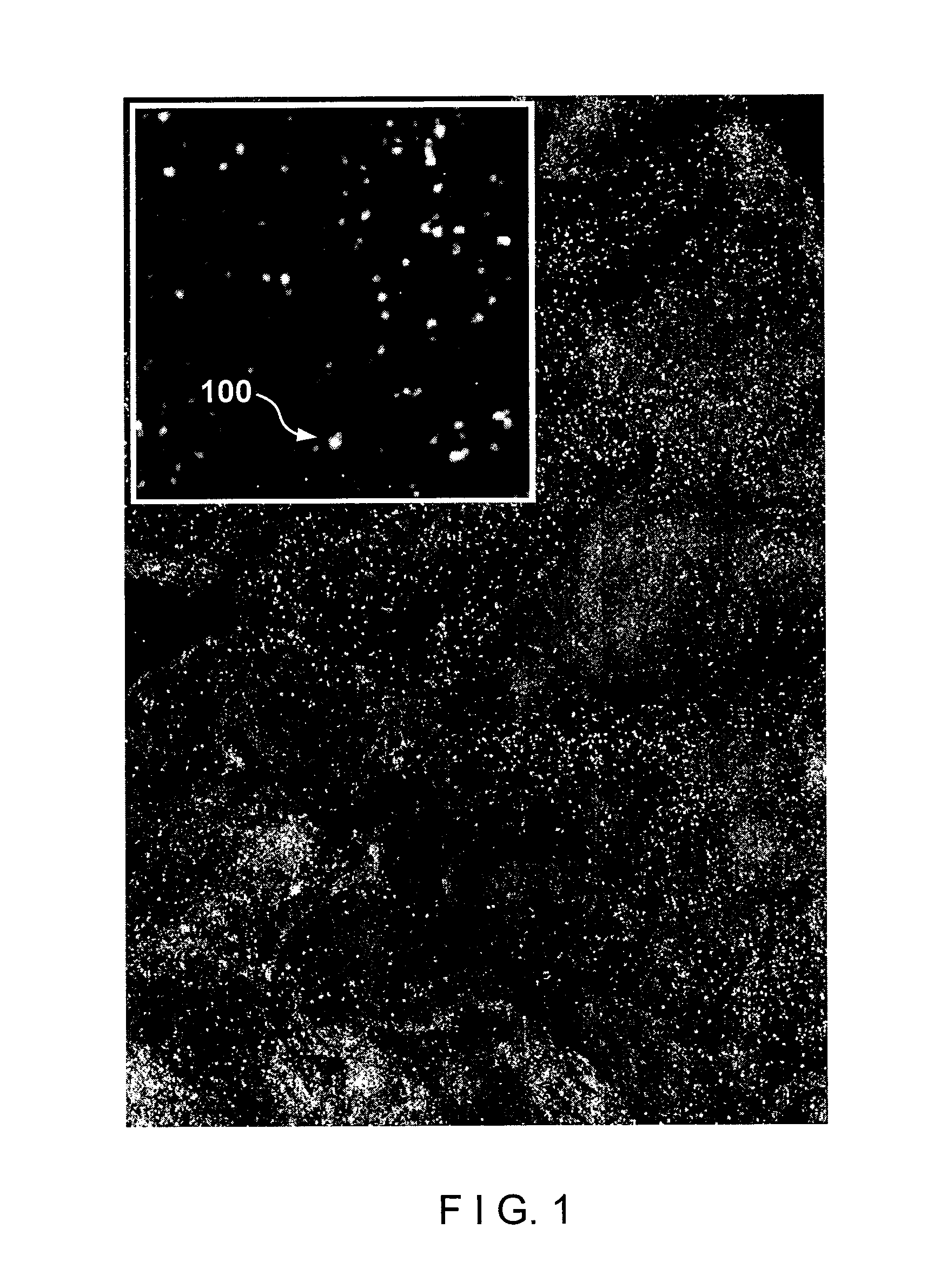 Devices and methods for imaging particular cells including eosinophils