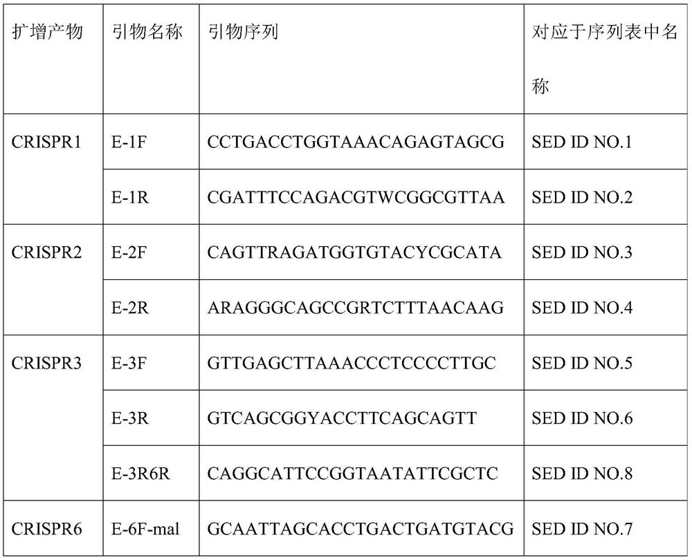 A CRISPR typing method for Cronobacter malonate