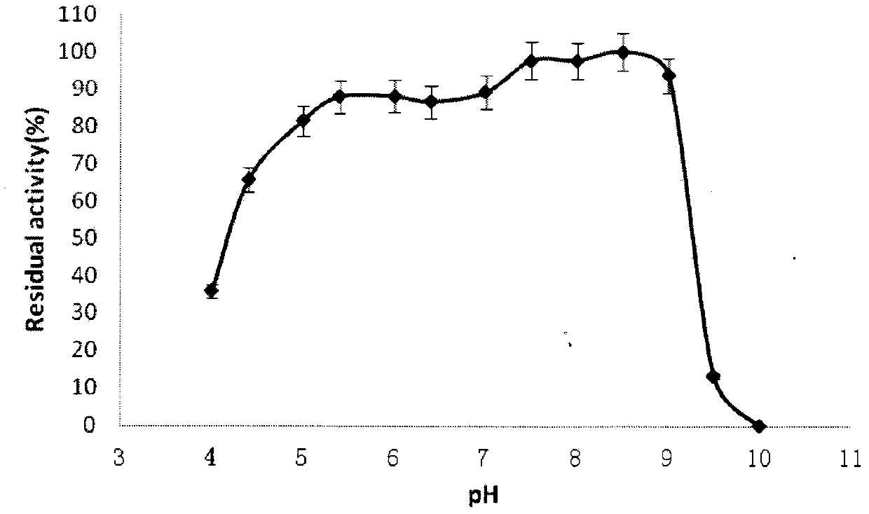 A kind of gladiolus Burkholder strain and its fermentative method for producing alkaline lipase